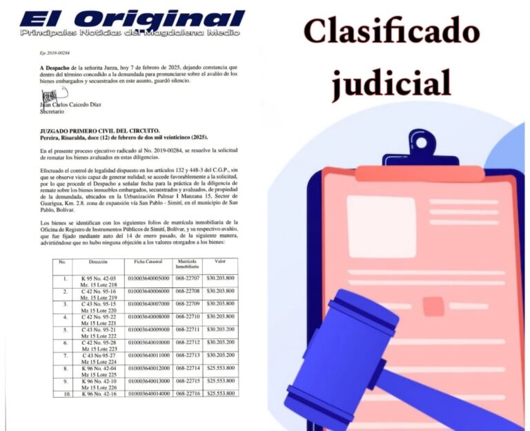 edicto judicial